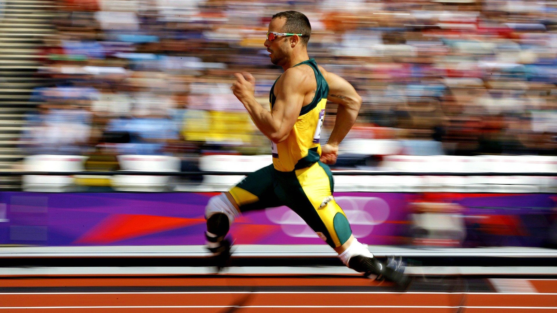 开云在线直播-WRC年度盛典：车手、车队、赛道全景回顾，wrc车手总冠军